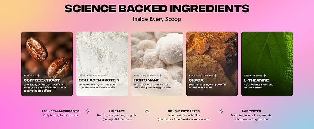 Everyday Dose mushroom coffee review — science backed ingredients