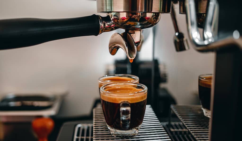 guide to coffee brewing