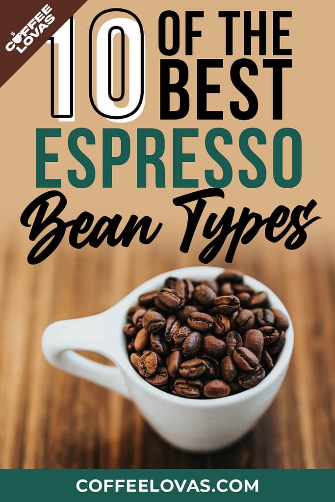 Best Espresso Beans