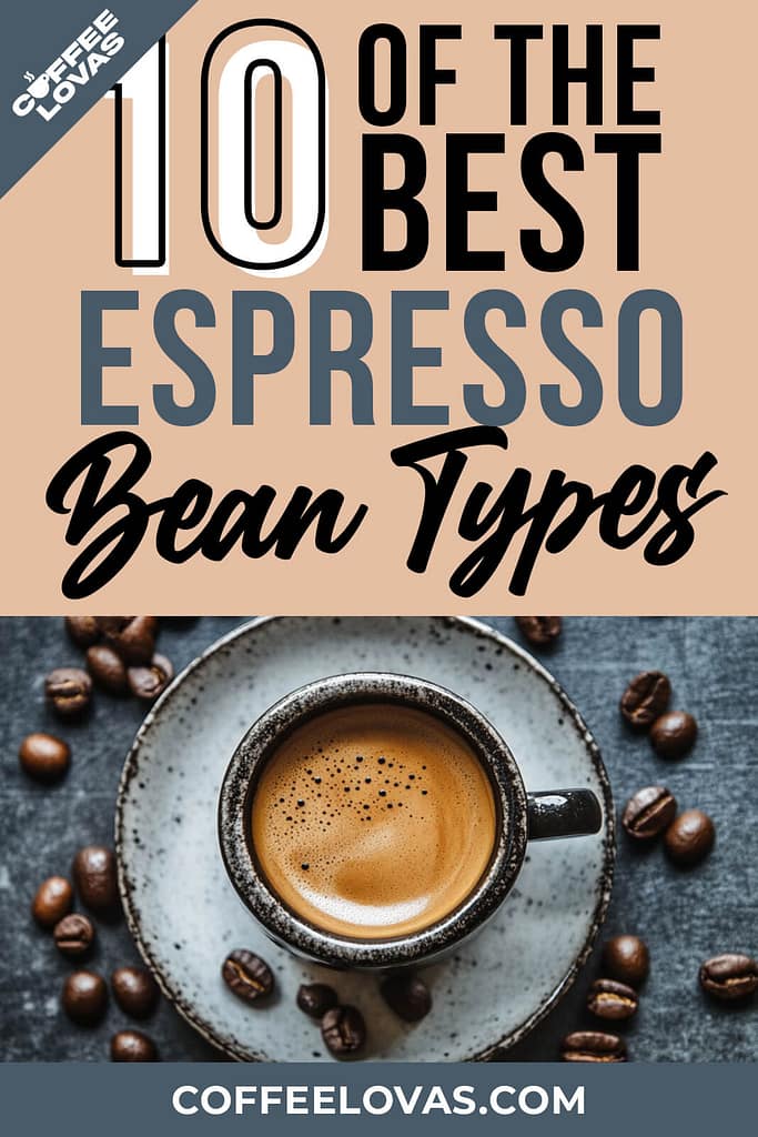 Best Espresso Beans
