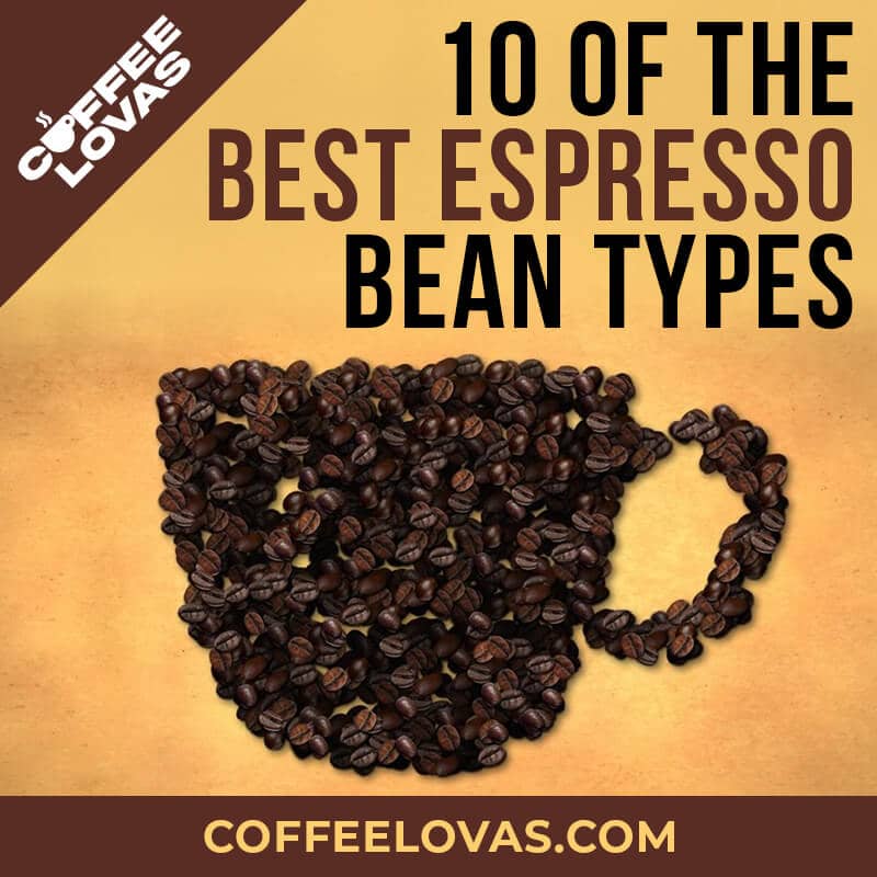 Best Espresso Beans